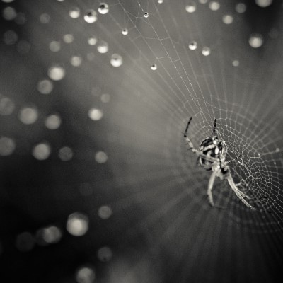 1920 x 1080 HD Wallpapers 2063